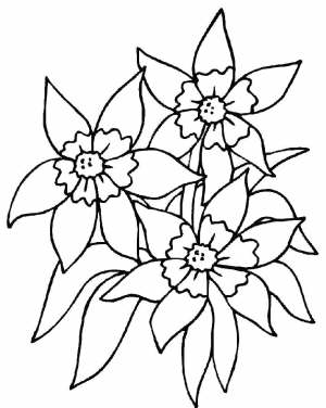 Blumen023